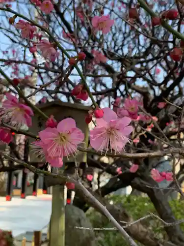 綱敷天満宮の自然