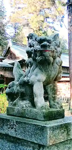 廣幡八幡宮の狛犬