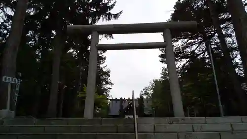 上川神社の鳥居