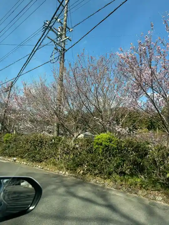 椿大神社(三重県)