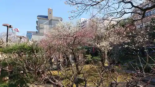 湯島天満宮の庭園