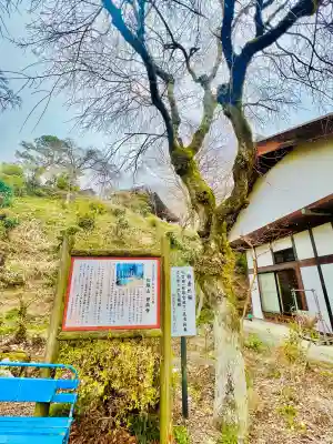 音楽寺の{uncategorized: "未分類", other: "その他", undefined: "問題あり", building: "その他建物", grave: "お墓", sacred_gate: "鳥居", guardian: "狛犬", statue: "像", buddha: "仏像", history: "歴史", nature: "自然", garden: "庭園", animal: "動物", pagoda: "塔", temizu: "手水舎", mountain_gate: "山門・神門", sanctuary: "本殿・本堂", subordinate: "末社・摂社", art: "芸術", scenery: "景色", jizo: "地蔵", ema: "絵馬", goshuin: "御朱印", omikuji: "おみくじ", items: "授与品その他", amulet: "お守り", goshuincho: "御朱印帳", eats: "食事", festival: "お祭り", votive_dance: "神楽", shichigosan: "七五三参", wedding: "結婚式", experience: "体験その他", initially: "初詣", around: "周辺", anti_infection: "感染症対策"}