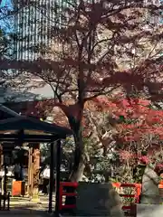 愛宕神社(東京都)