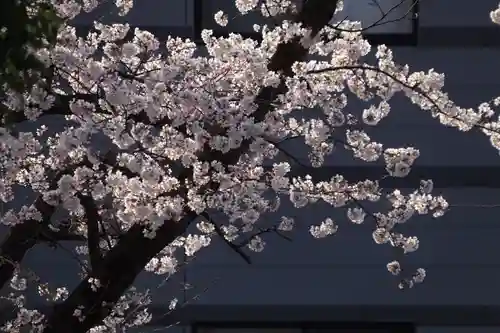 熊野福藏神社の自然