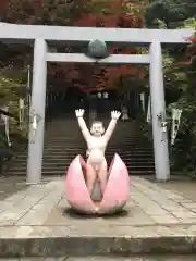 桃太郎神社（栗栖）の鳥居