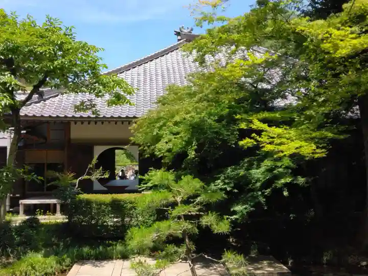 明月院(神奈川県)