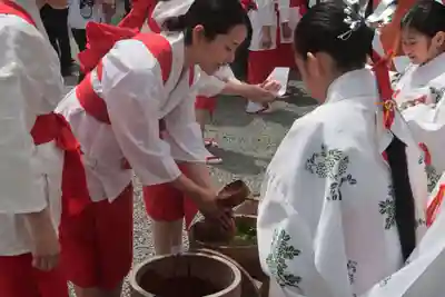 高屋敷稲荷神社のお祭り