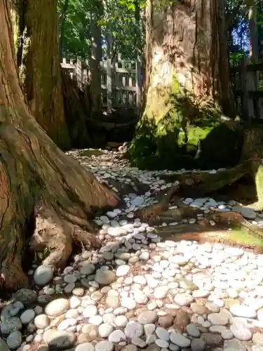 玉置神社(奈良県)