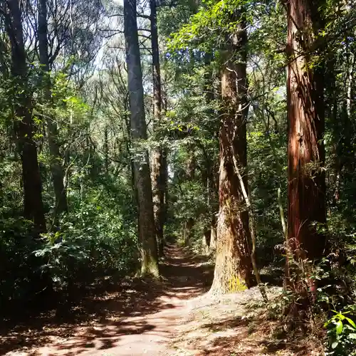 鹿島神宮の自然