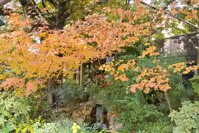 東京大神宮(東京都)