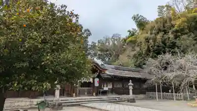 平野神社(京都府)