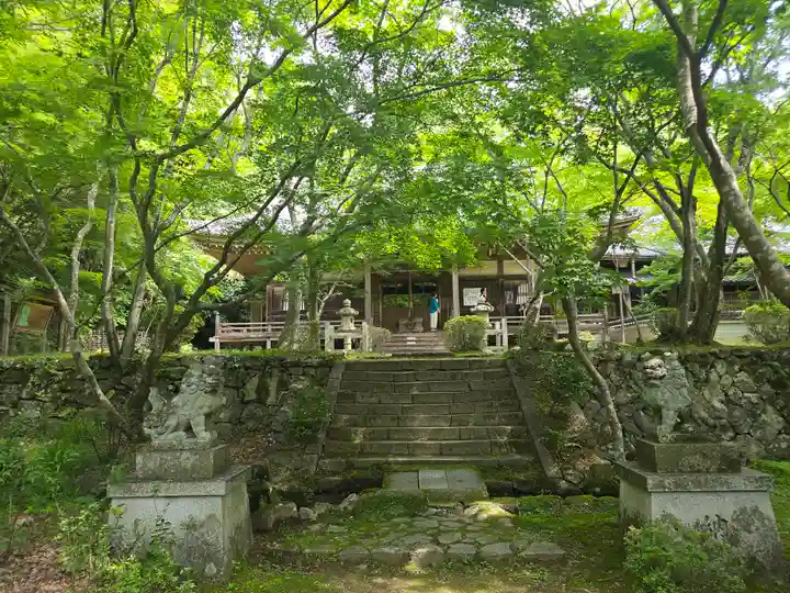 勝持寺(花の寺)(京都府)