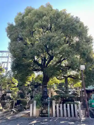 大楽院(神奈川県)