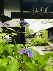 資福禅寺の庭園