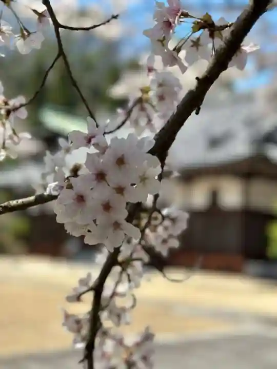 龍城院(岡山県)