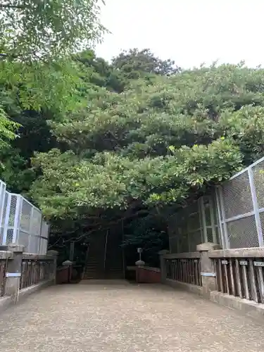 猿田神社の自然