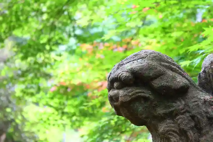 春日神社の狛犬