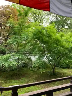 興聖寺(京都府)