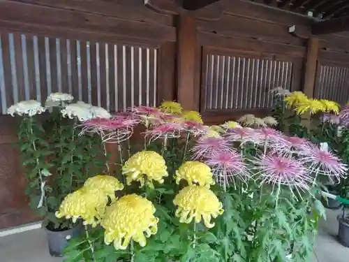 寒川神社(神奈川県)