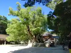 大山祇神社(愛媛県)