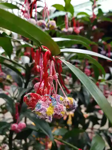 赤坂氷川神社(東京都)