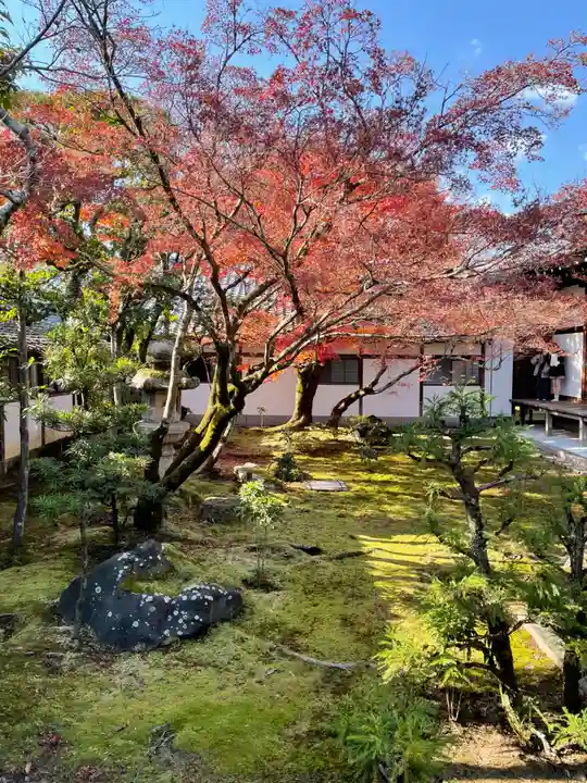 仁和寺(京都府)