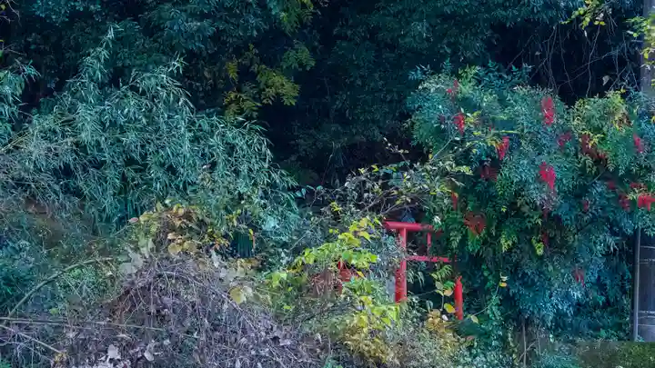長谷山口坐神社(奈良県)