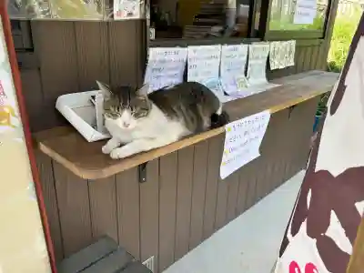 正福寺(茨城県)