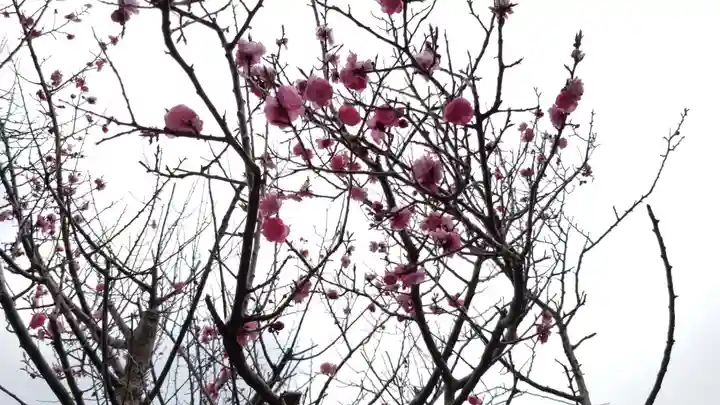 帰厚院(北海道)