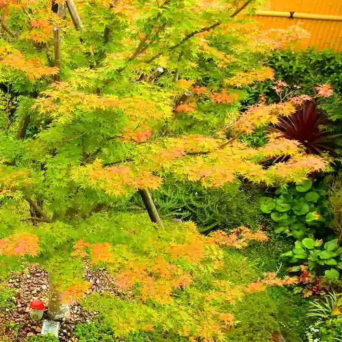 寿量山　速成寺(奈良県)