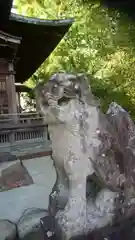 金刀比羅神社 尾張分社の狛犬