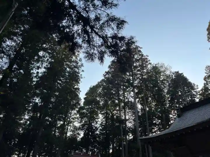 大宮温泉神社のその他建物