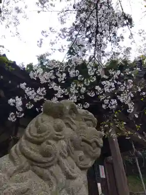 熊野神社(福井県)