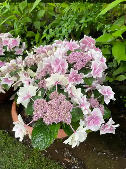 青龍山 吉祥寺(群馬県)