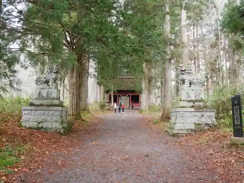 戸隠神社奥社の景色