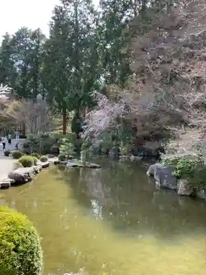 善峯寺(京都府)