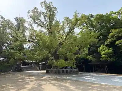 大山祇神社(愛媛県)