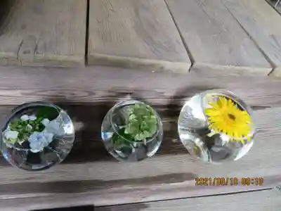 滑川神社 - 仕事と子どもの守り神の手水舎