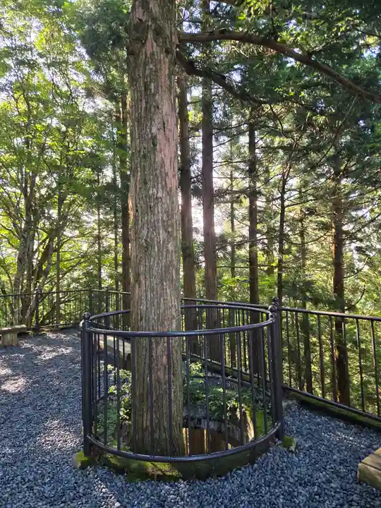 立里荒神社(奈良県)