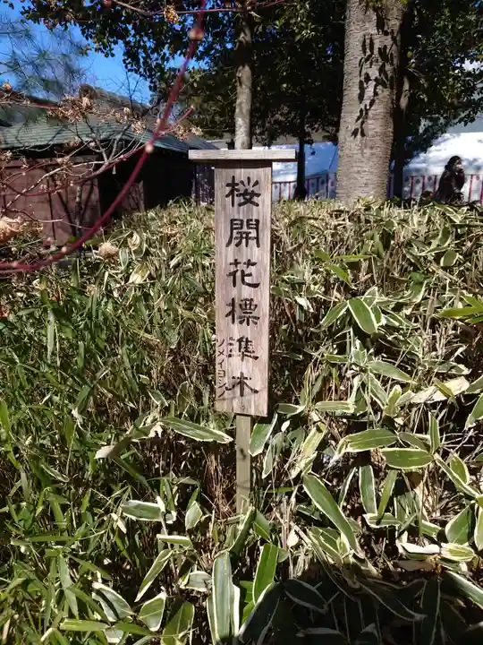 櫻木神社(千葉県)