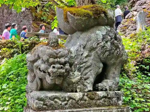 戸隠神社奥社の狛犬