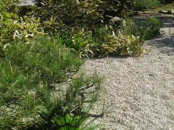 教恩寺のその他建物