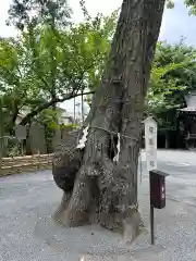 七社神社(東京都)