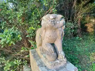 熊野神社の狛犬
