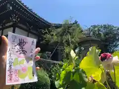 妙蓮寺(神奈川県)