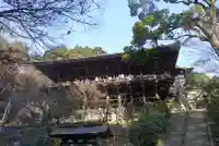 圓教寺の本殿・本堂