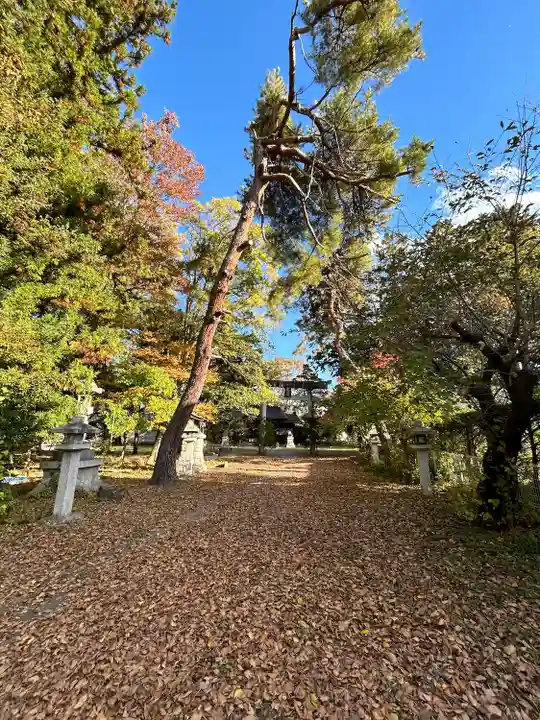 八坂神社(長野県)