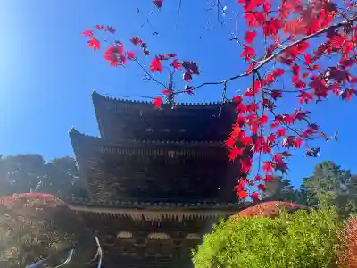 常樂寺(滋賀県)
