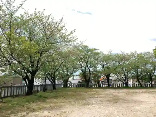 小垣江神明神社の自然