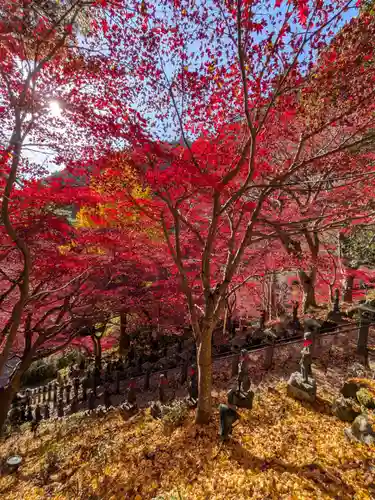 大山寺(神奈川県)